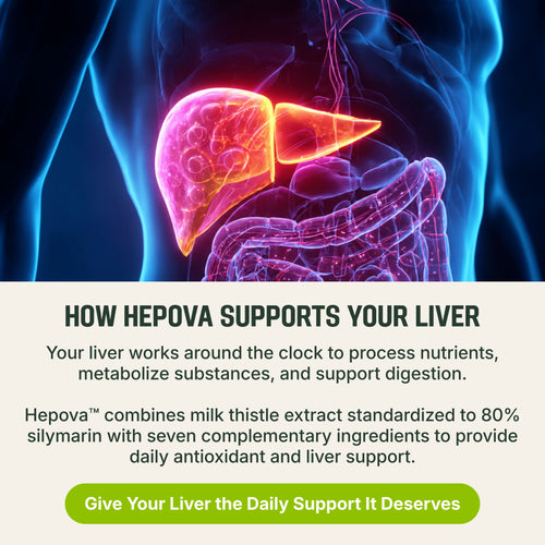 Hepova™ Milk Thistle Liver & Bloat Support